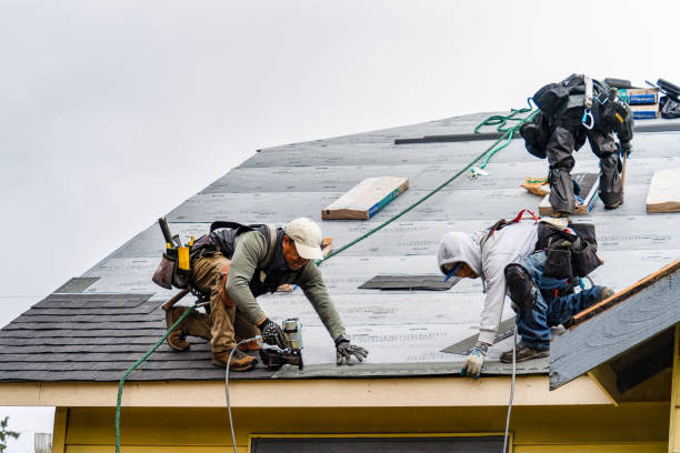 Professional Roof Replacement technician working in Sebago, ME